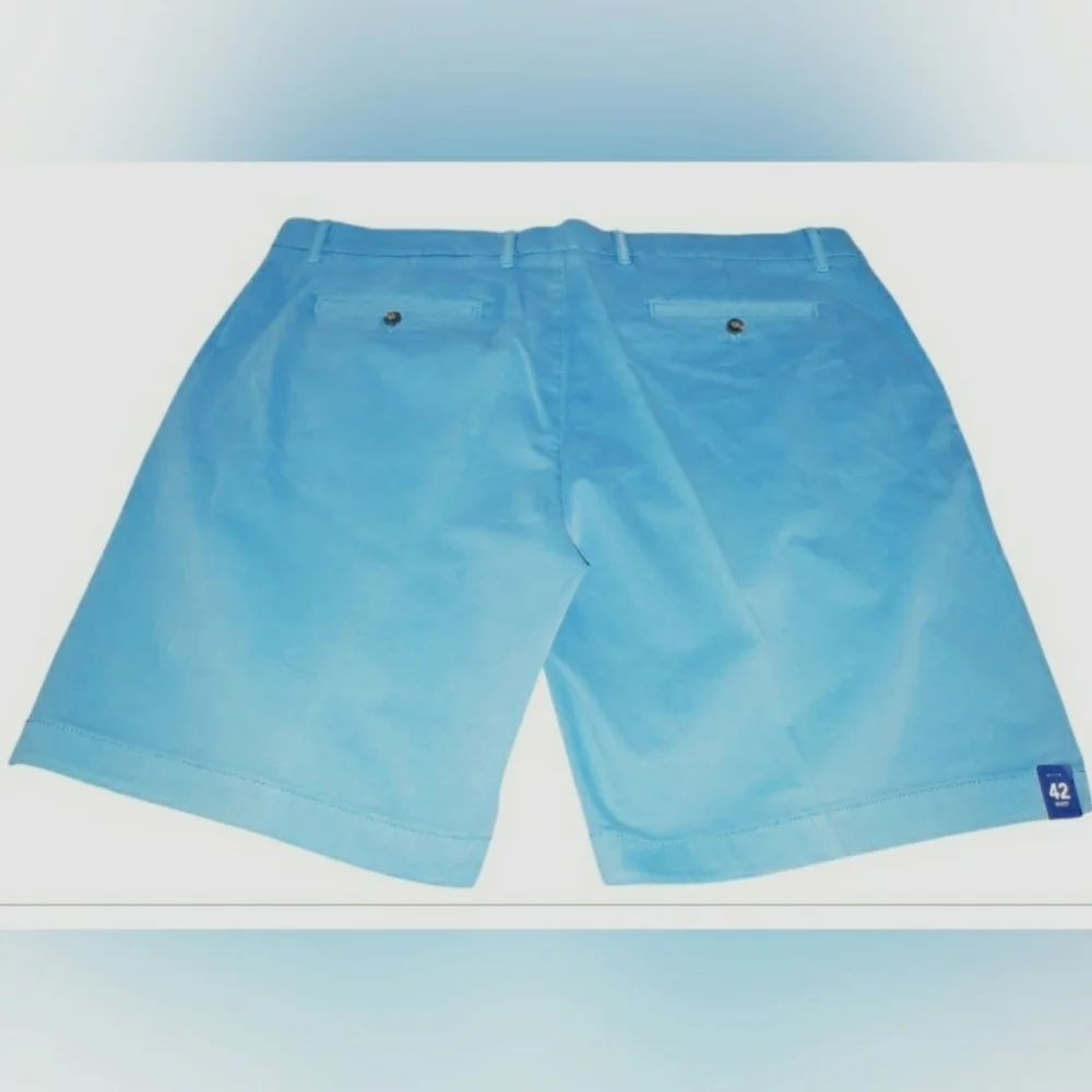 Preppy Resort Shorts 42 Blue Men Flat Front Travel Golf Cruise Modern New